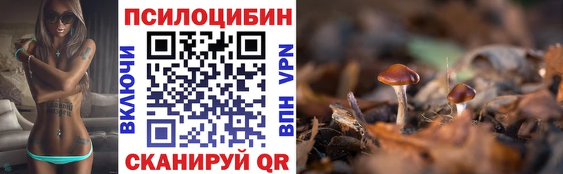 Псилоцибиновые грибы Magic Shrooms  kraken   Бакал  наркошоп 